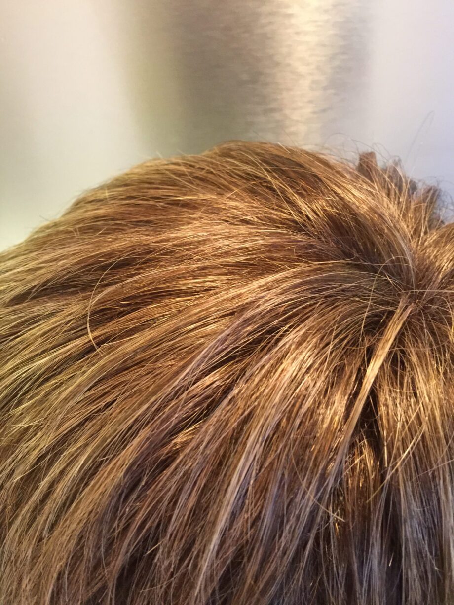 Short soft cap brown wig. Pplbrss747