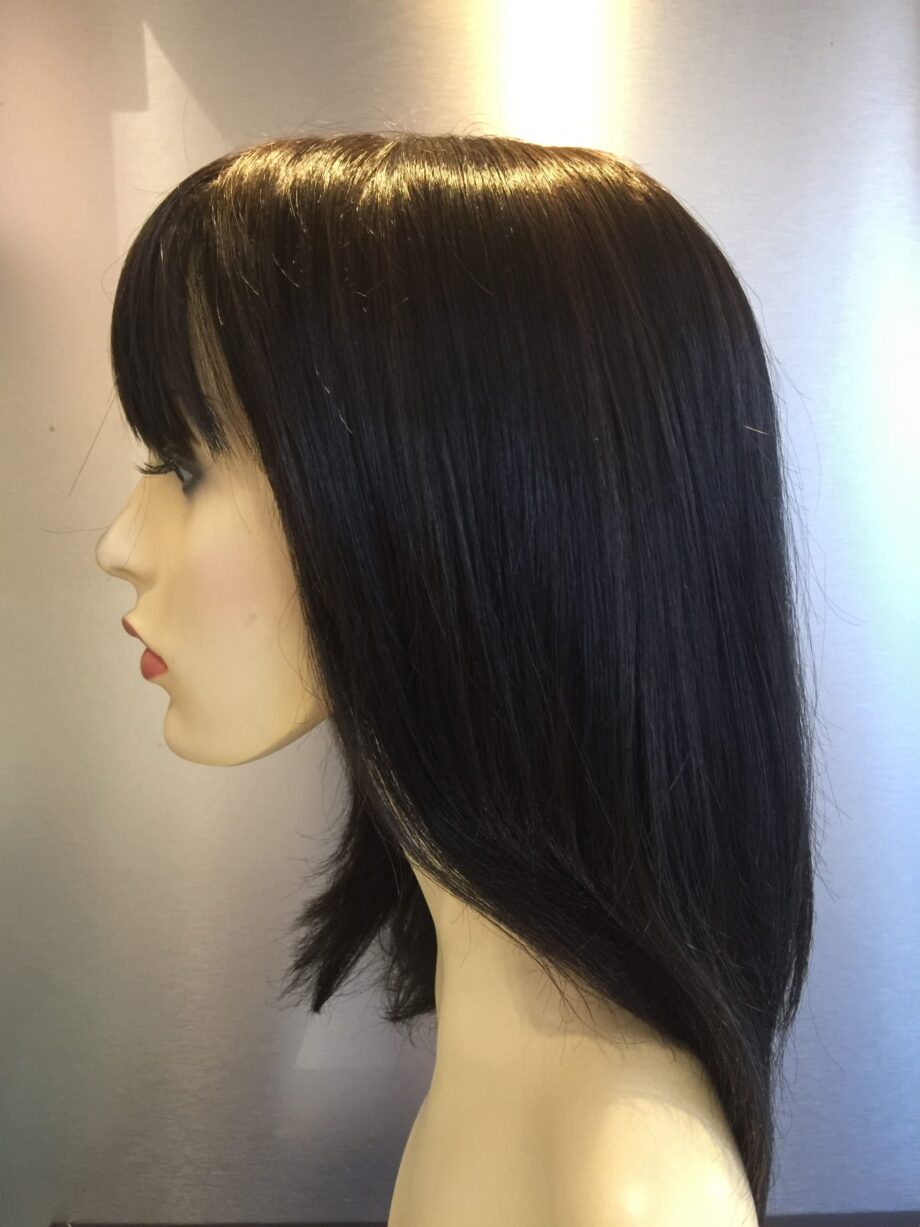 Long brown wig.  Pplbrls737