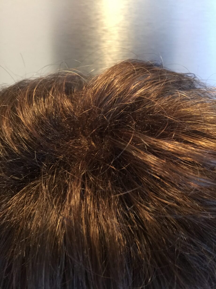 Short wavy brown wig. Pplbrsc736