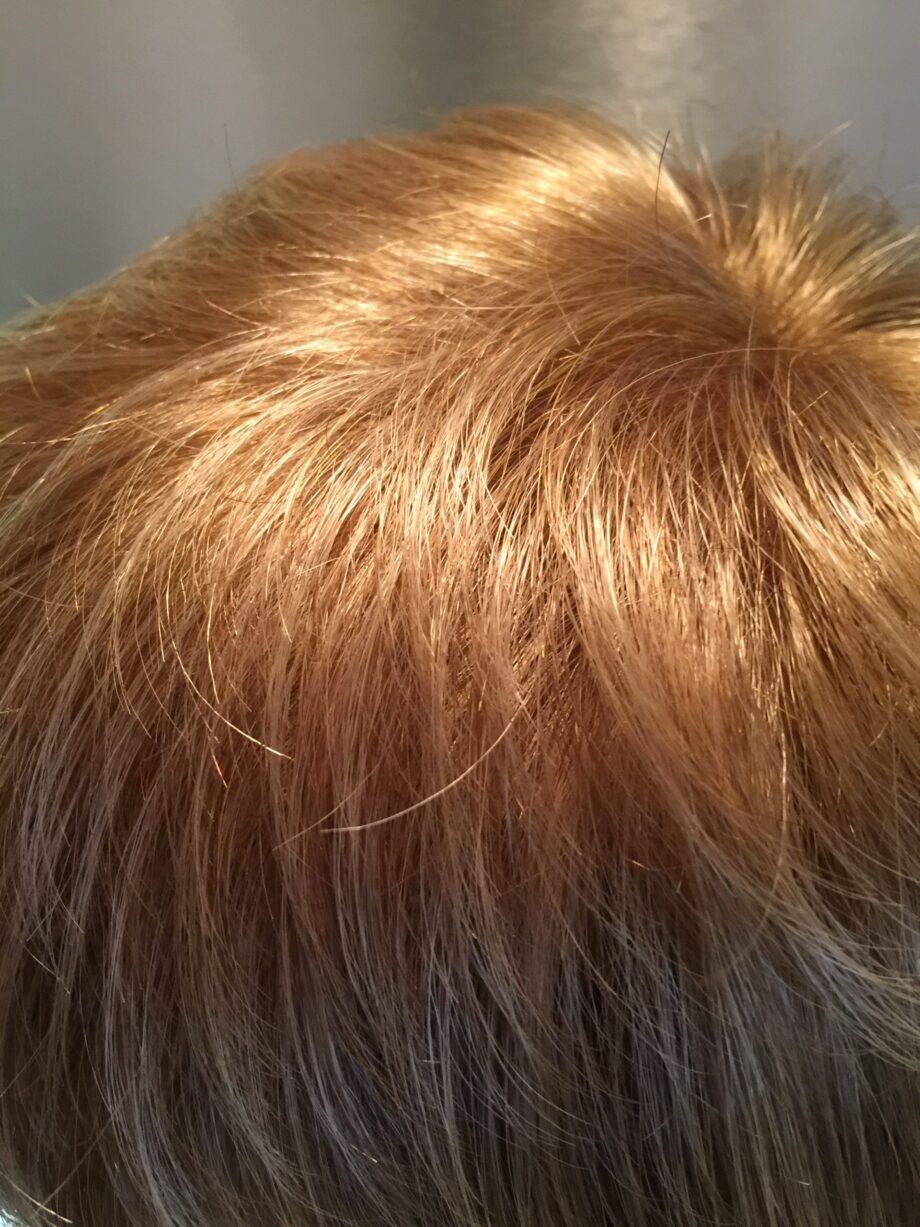 Blonde caramel rooted short wig. Pplblss746