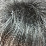 Short grey. Bplgsw44