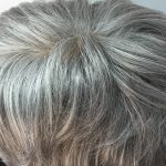 Short grey. Bplgsw43
