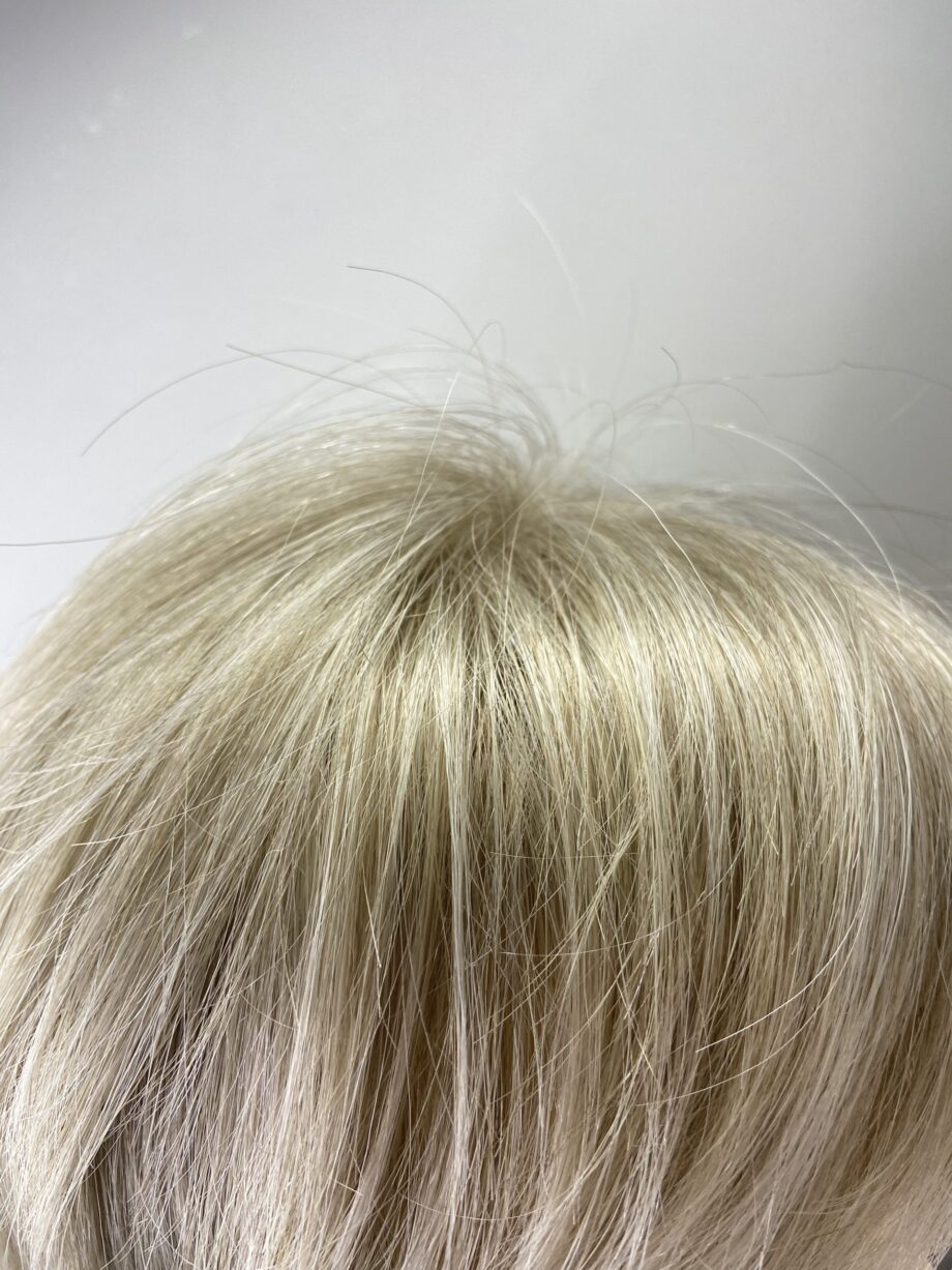 New. Platinum blonde wig. Nblss82