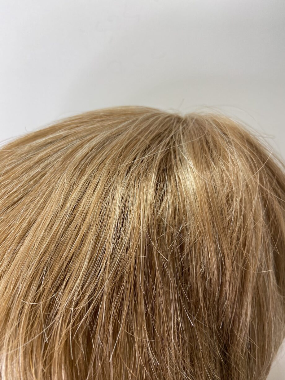 Boxed stylish honey blonde with conditioner. Bblss77