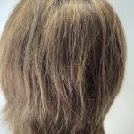Human hair soft cap wig. Pplbrms7993