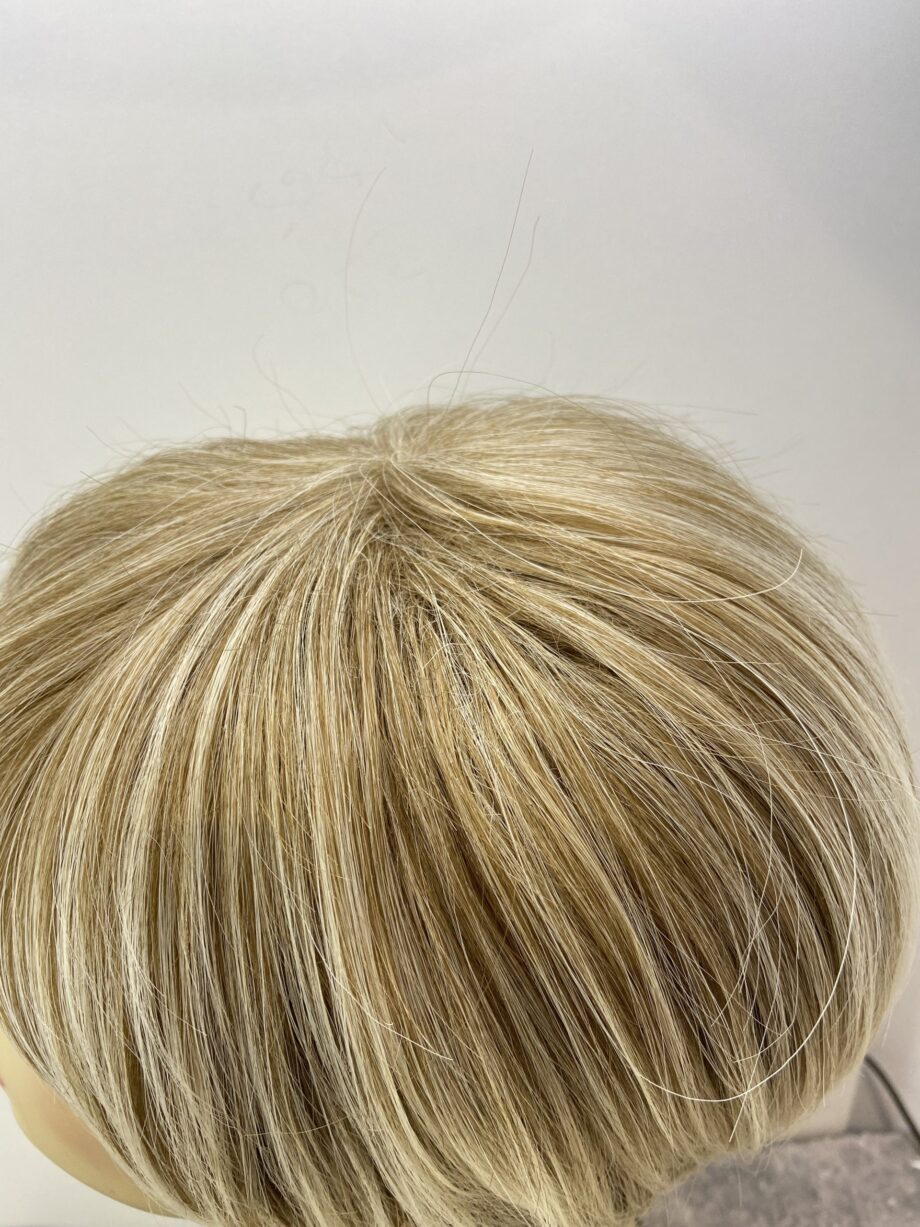 Short blonde highlighted new wig. Blss7015