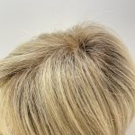 Rooted blonde   Blss6053