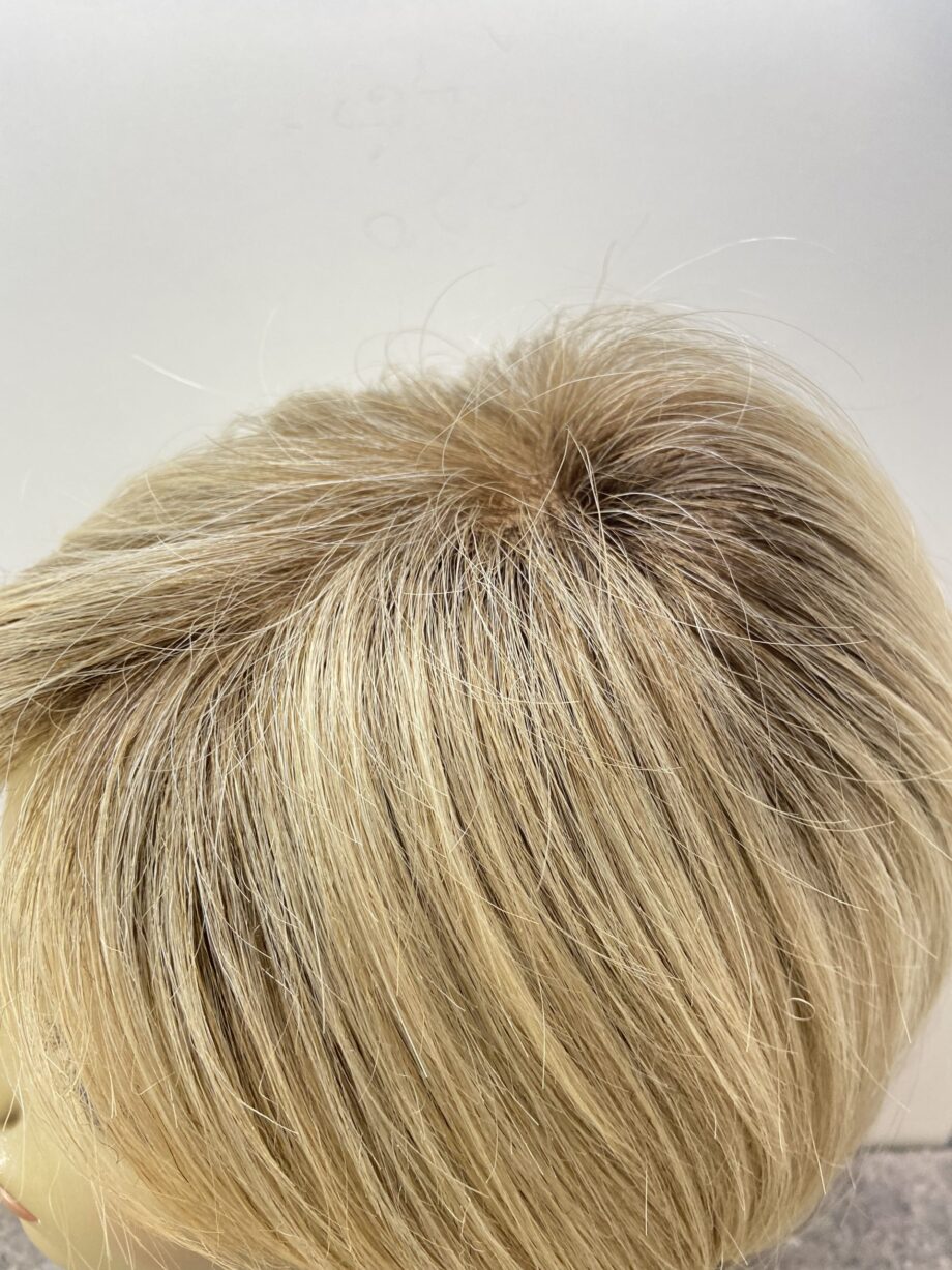 Rooted blonde   Blss6053