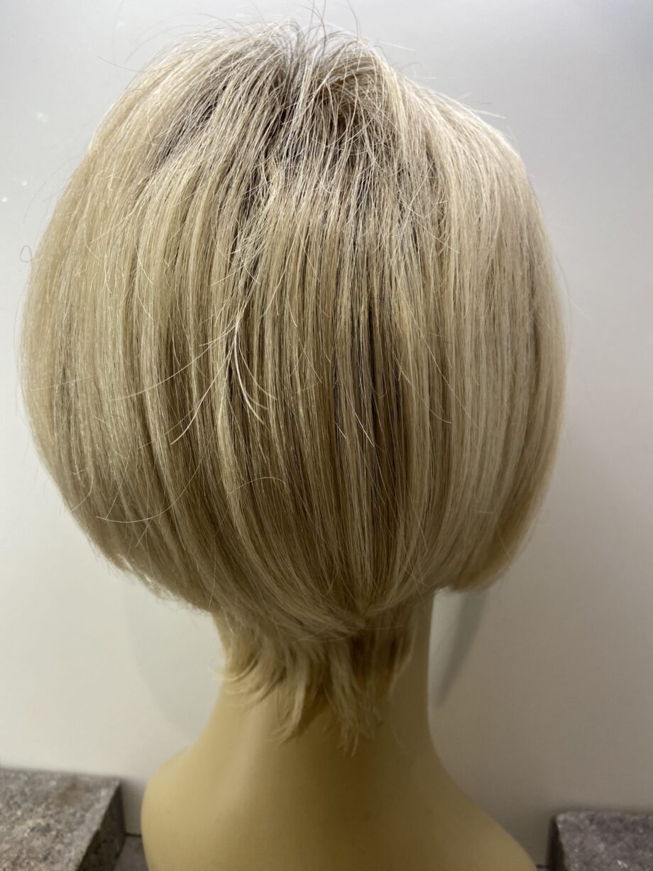 Rooted blonde   Blss6053