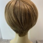 Stylish short soft cap brown wig. Brss100