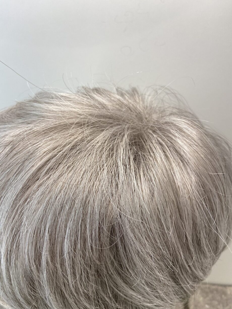 Silver Grey salt and pepper wig. Bgsw139