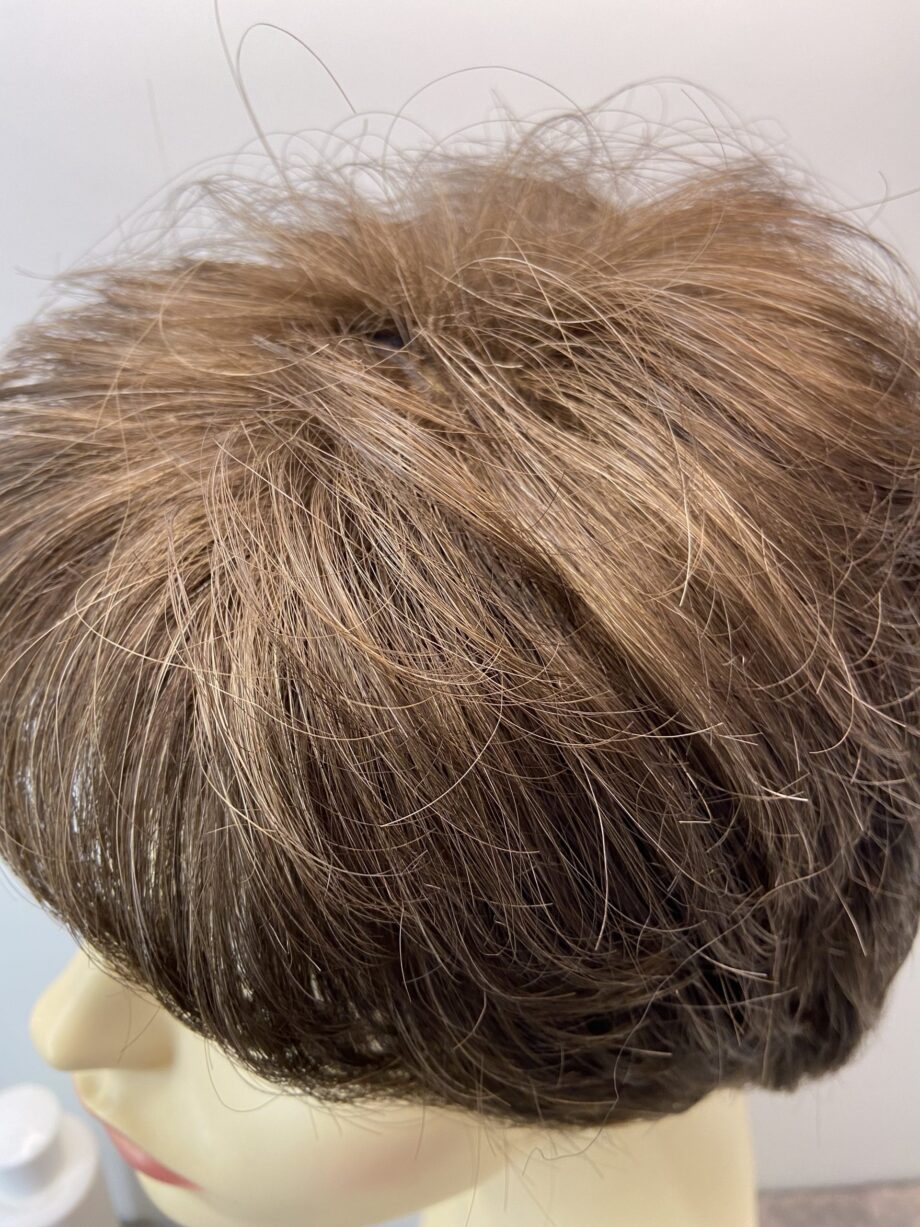 Short petite brown wig with shampoo  Brsw99