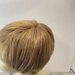 Stylish short soft cap brown wig. Brss100