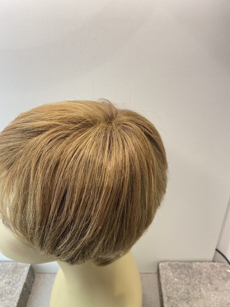 Stylish short soft cap brown wig. Brss100