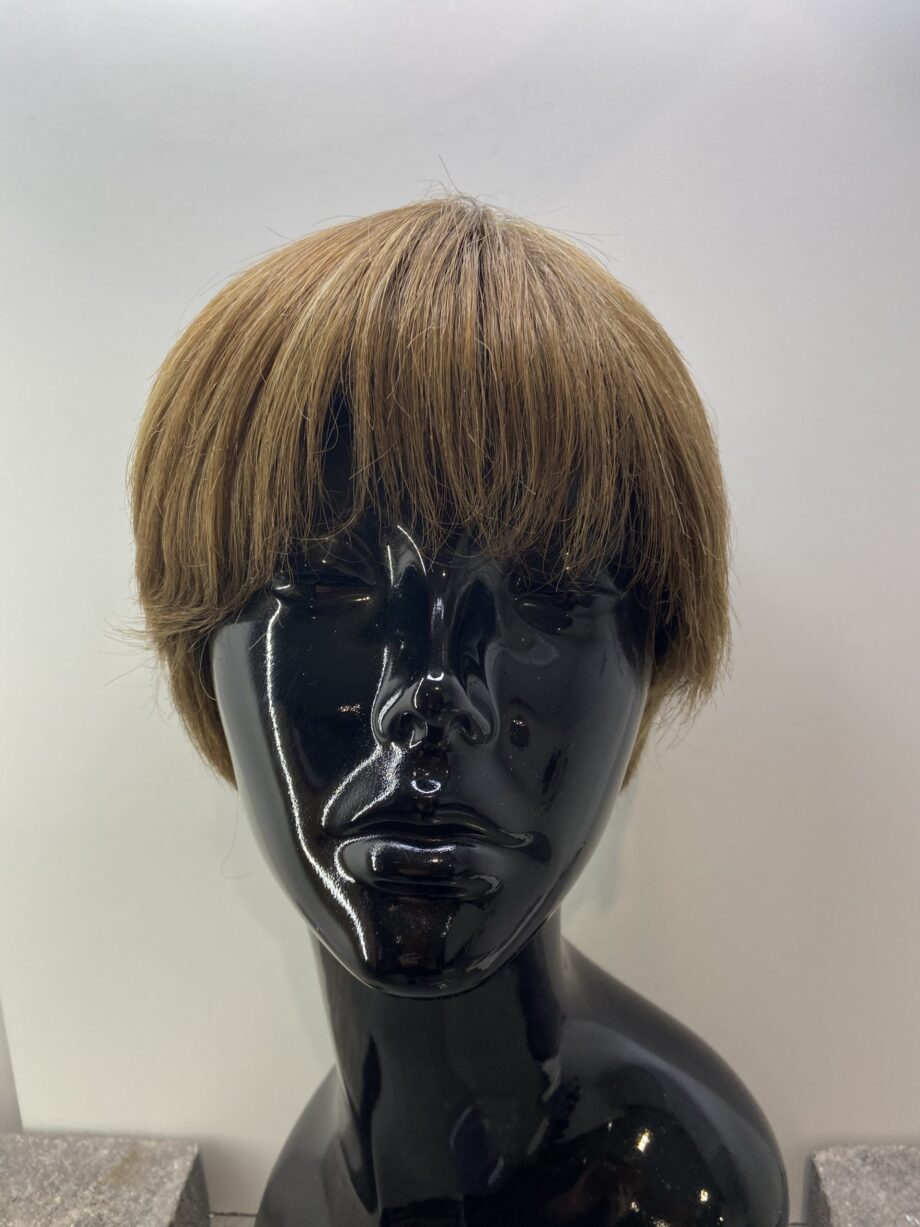 Short soft cap brown wig. Brss102