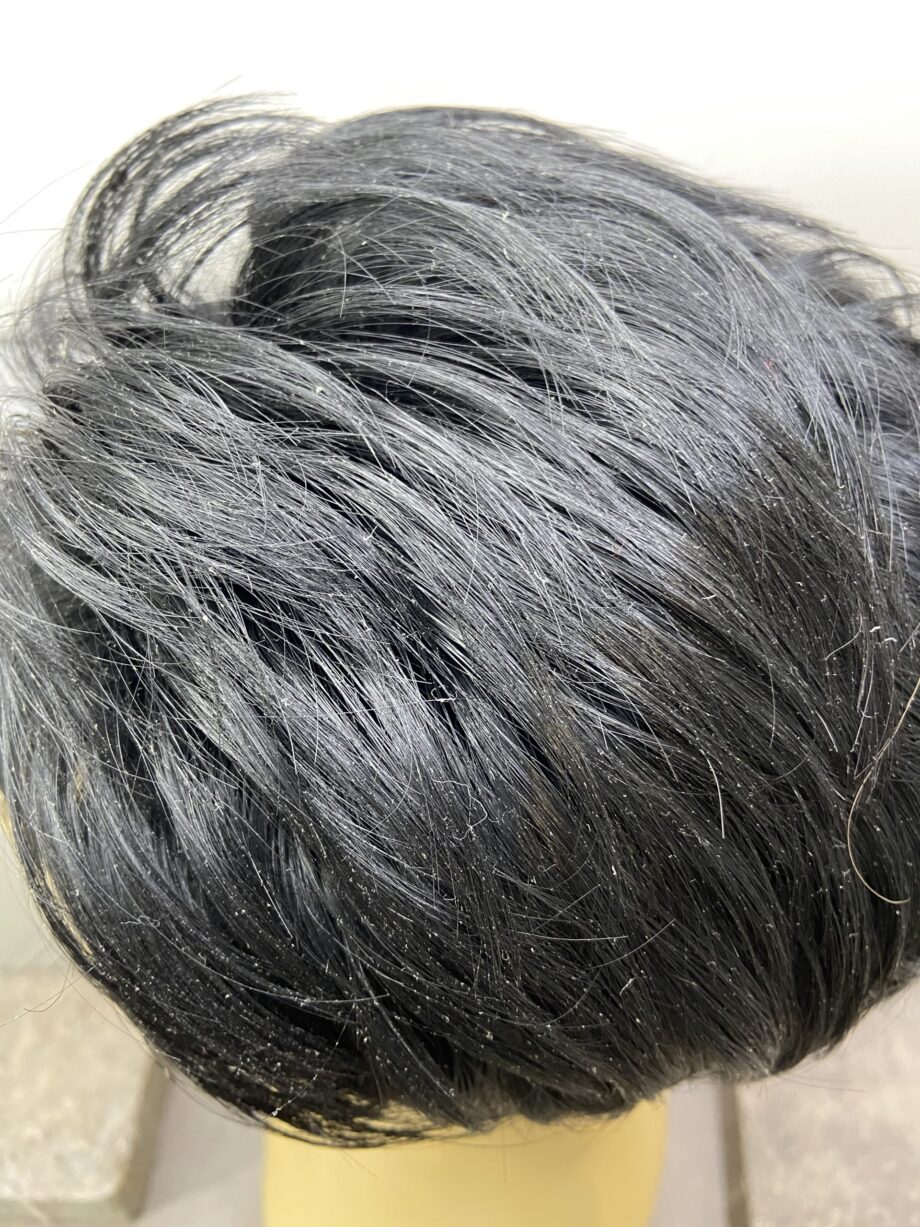 Short black wig bbss111