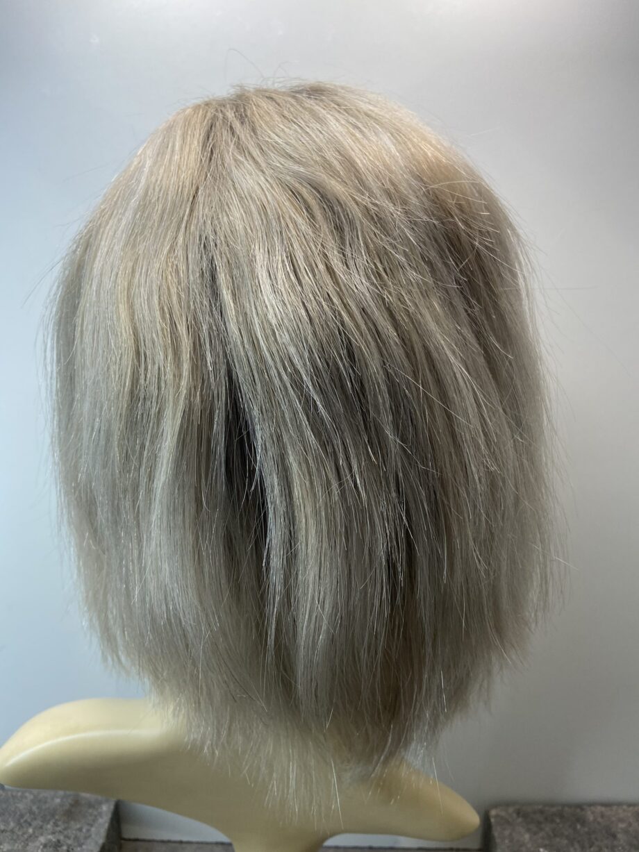Sleek stylish silver rooted wig. Soft cap.   Gms97