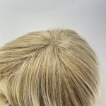 Short blonde highlighted wig. Blss41