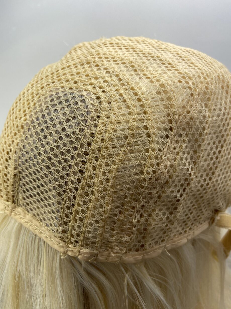 Brand new blonde long wig. Blls71