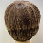 Short brown highlighted wig. Brss43