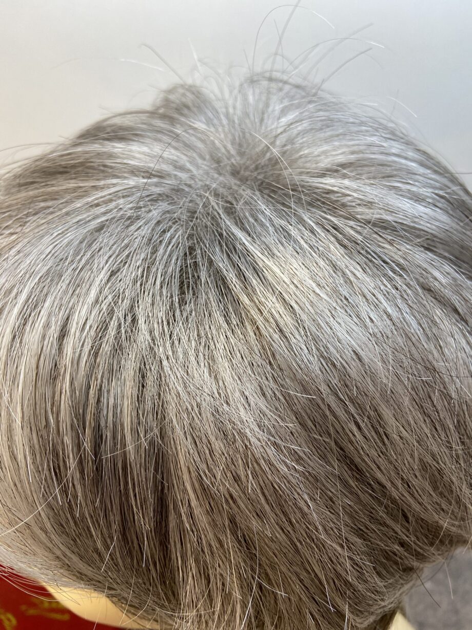 Rene of Paris silver grey wig. Bgss154