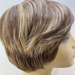 Short brown highlighted wig. Brss43