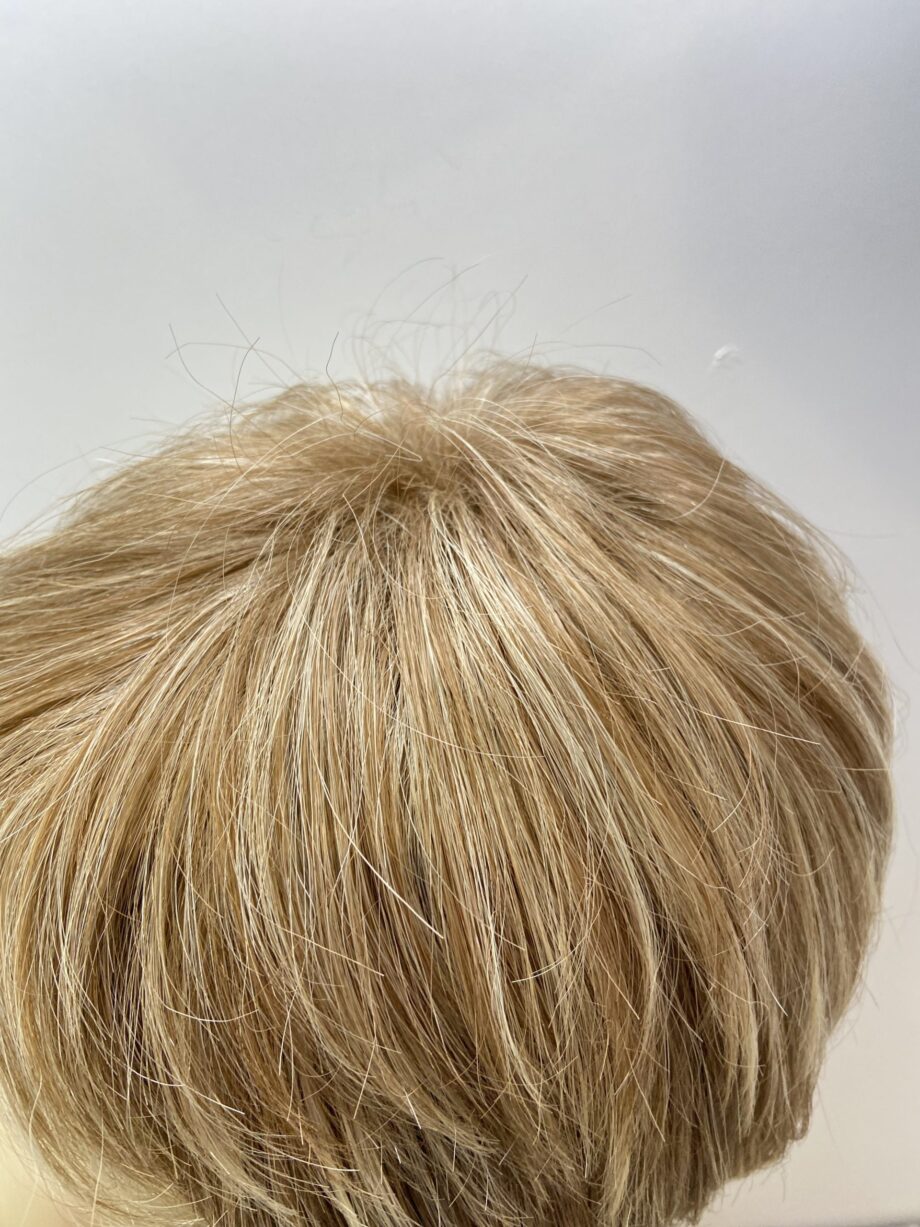 Stylish light blonde highlighted. Plblss538