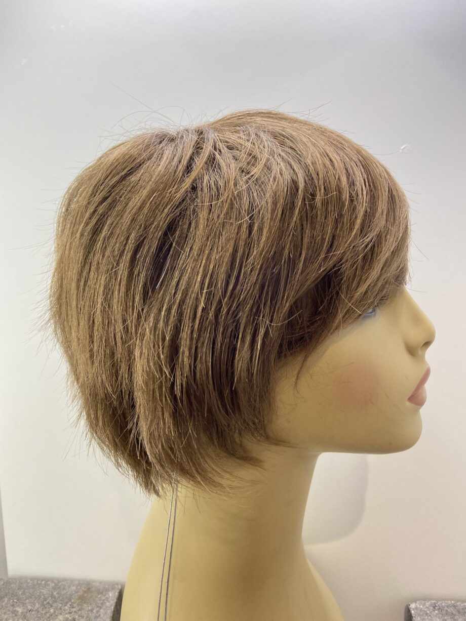 Short brown new wig. Brss309