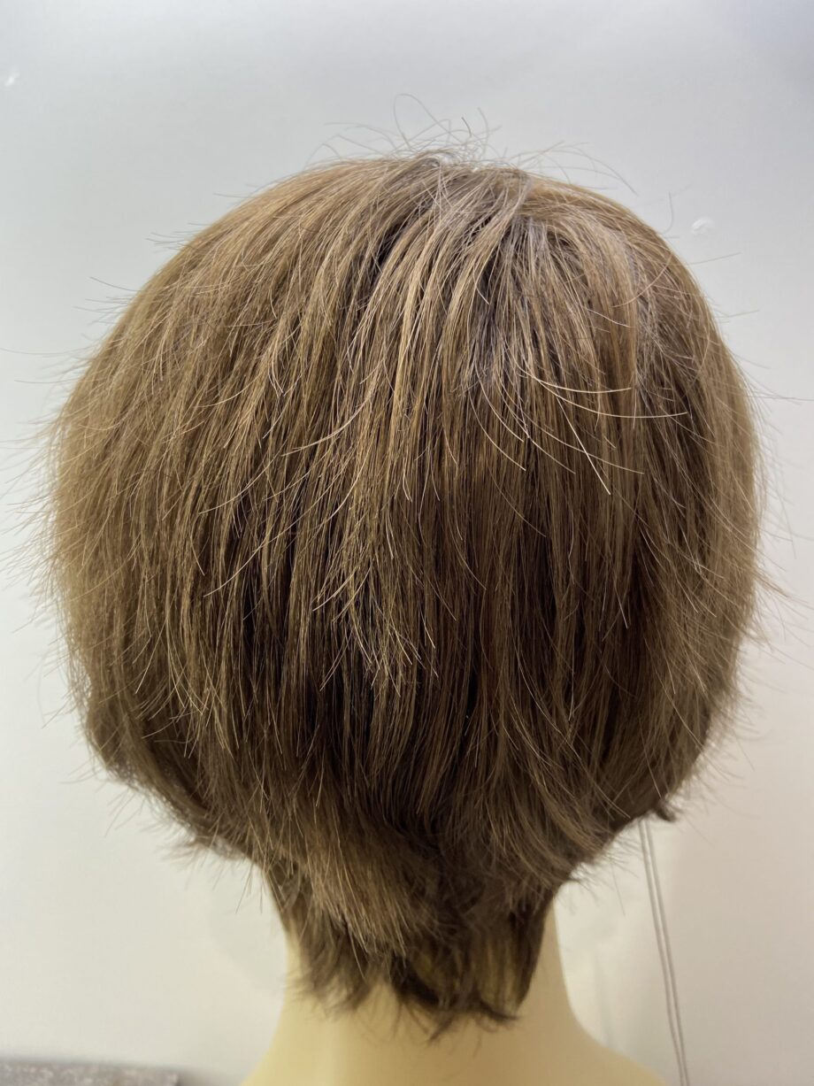 Short brown new wig. Brss309