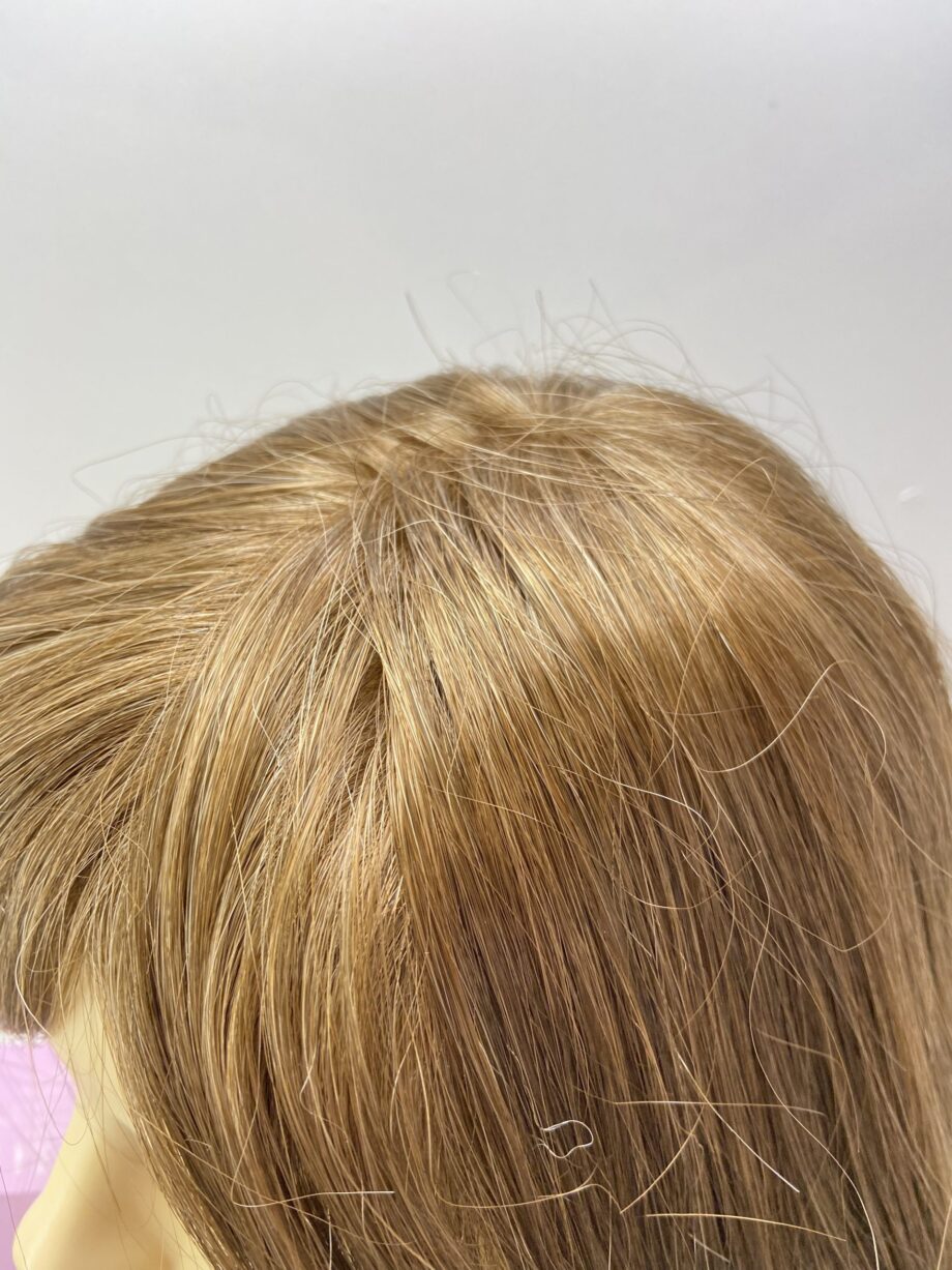 New brown wig. Tags on. Bbrms196