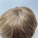 Short brown new wig. Brss309