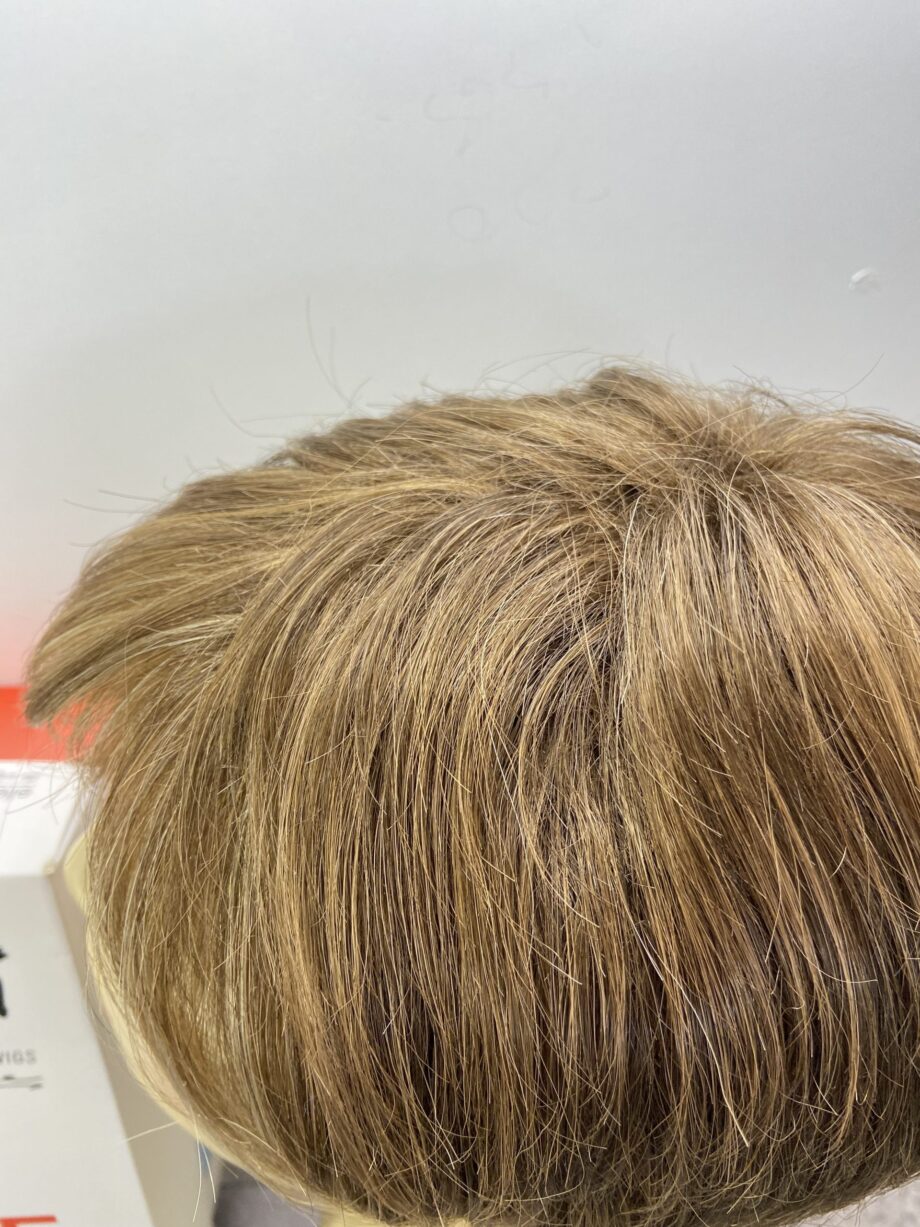 Stylish short brown wig. Bbrss206