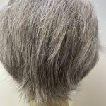 Salt and pepper wig. Gss327