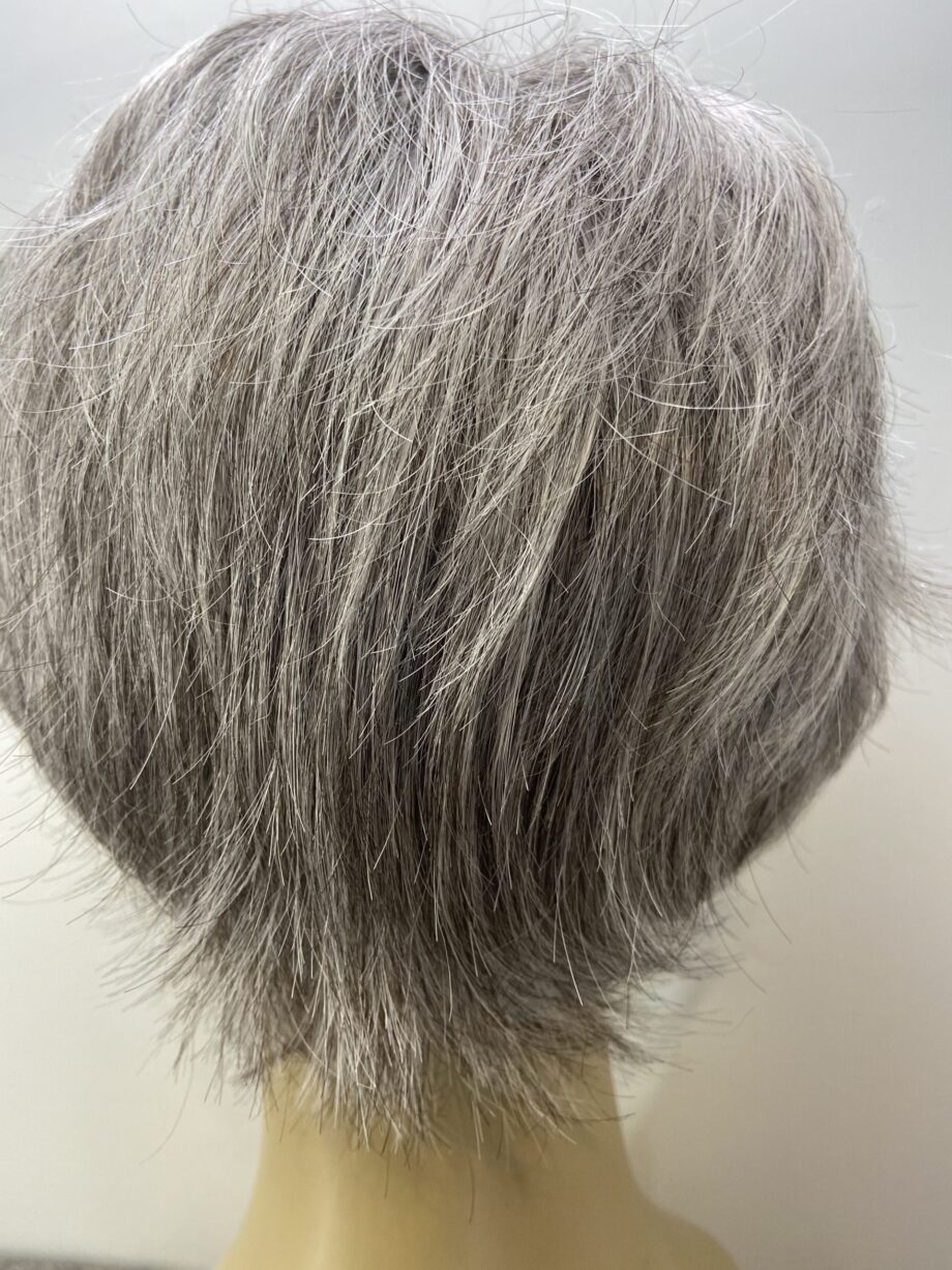 Salt and pepper wig. Gss327
