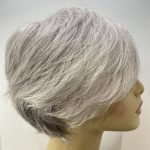 Salt and pepper wig. Gss327