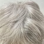 Salt and pepper wig. Gss327