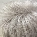 Silver stylish short wig. Bgsw209
