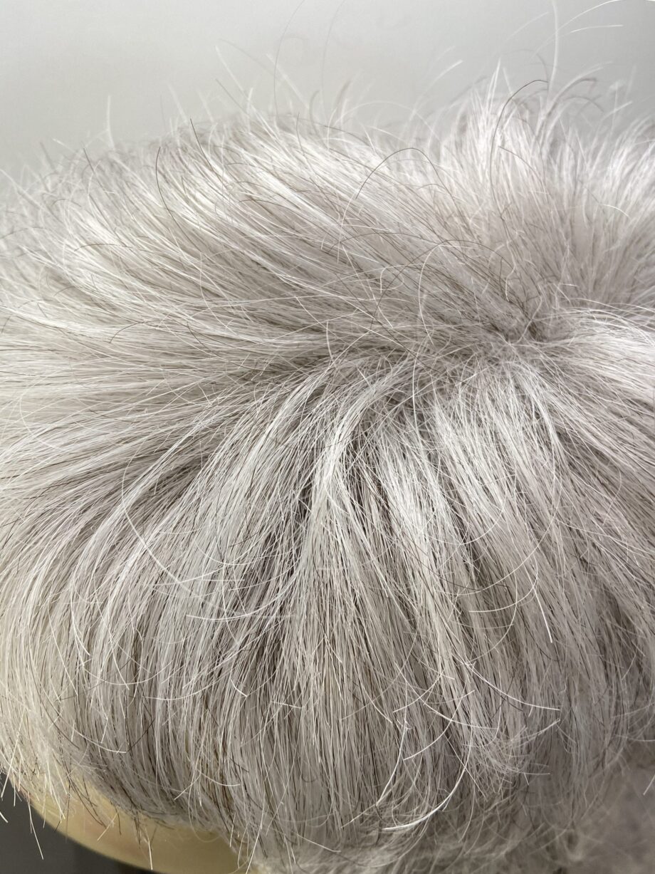 Silver stylish short wig. Bgsw209