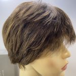 Short brown Raquel Welch wig boxed. Bbrss252