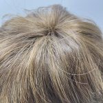 Short brown Raquel Welch wig boxed. Bbrss252
