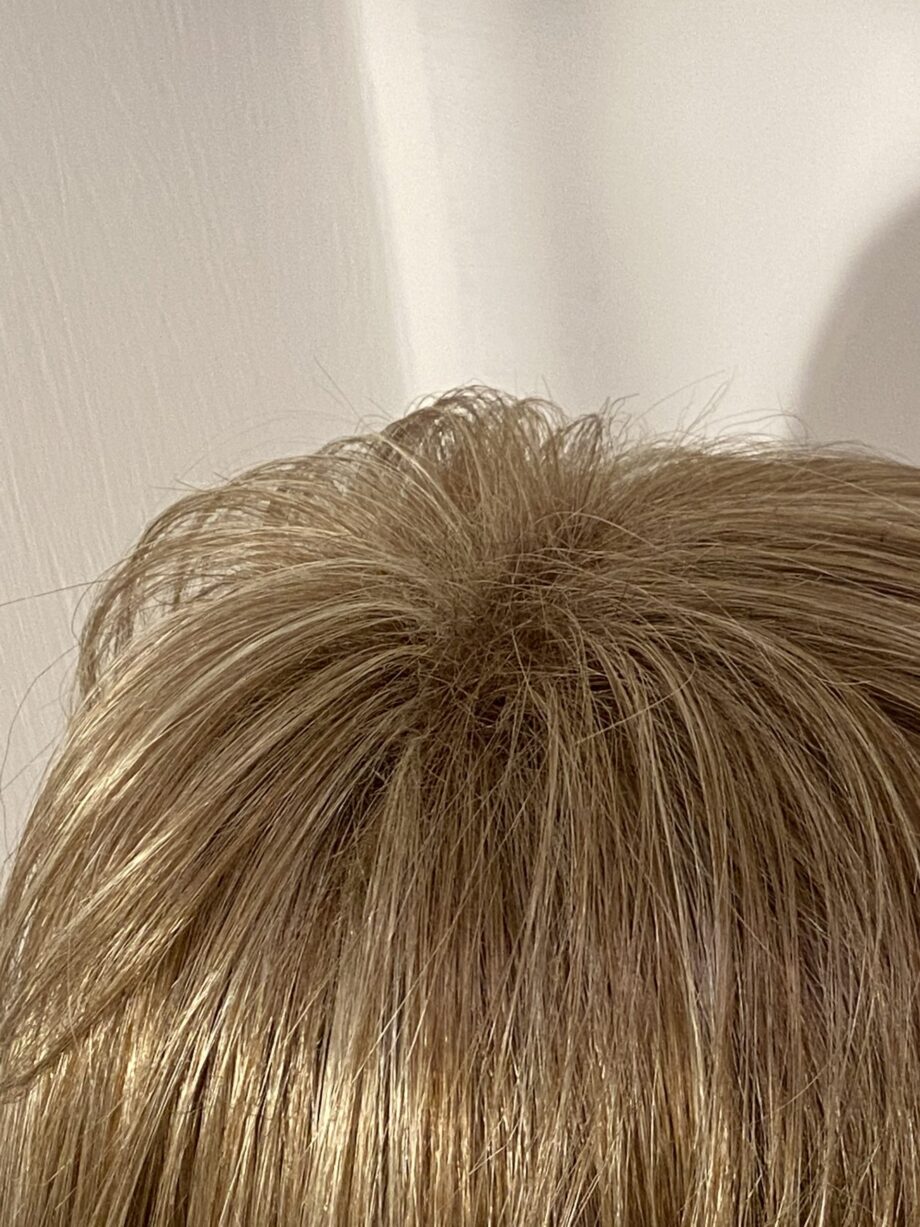 Light brown/Blonde Rene of Paris collection wig. Blms5172