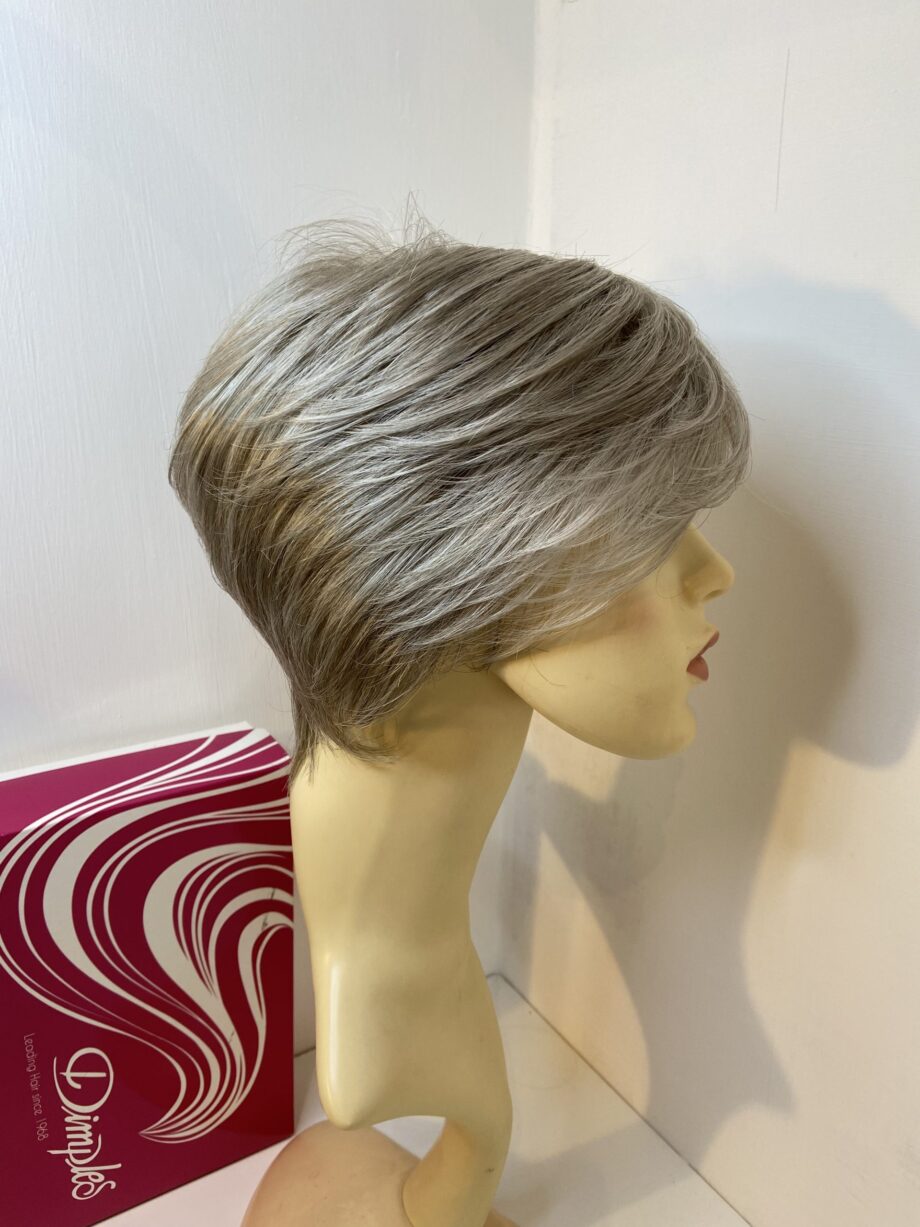 Dimples warm grey wig. Bgss268
