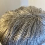Silver grey short wig. Gss41