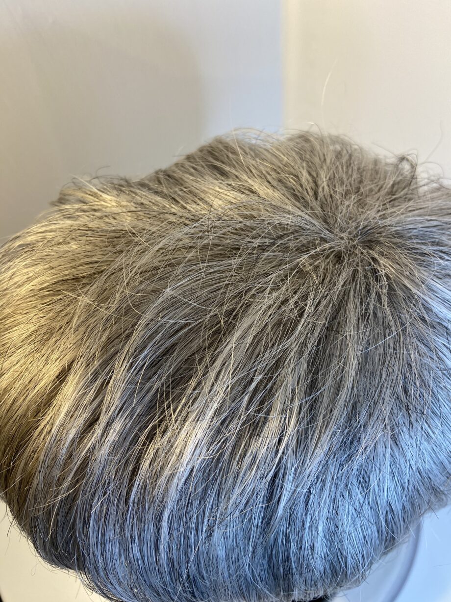 Silver grey short wig. Gss41