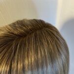 Rene of Paris brown rooted wig. Brms479