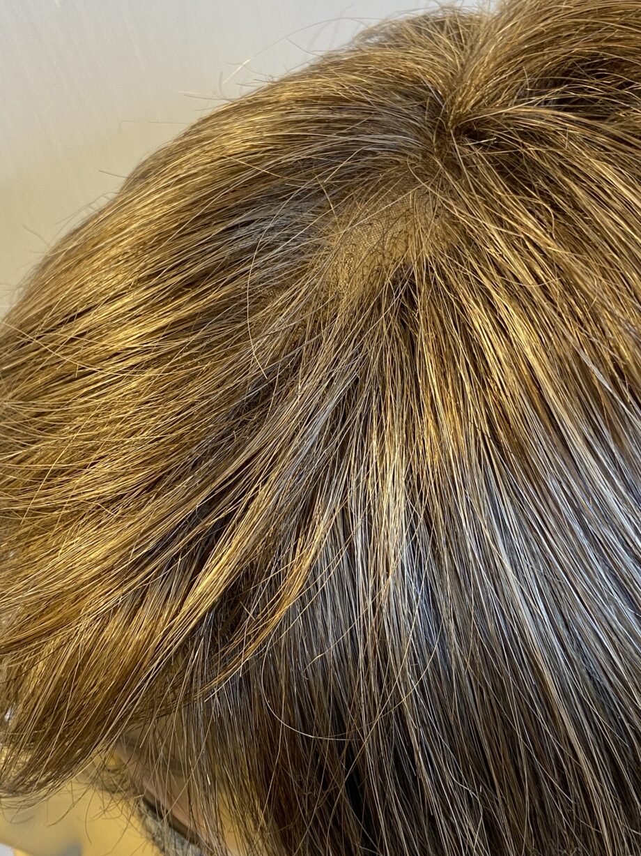 Ellen Willie collection brown wig. Pplbrss80