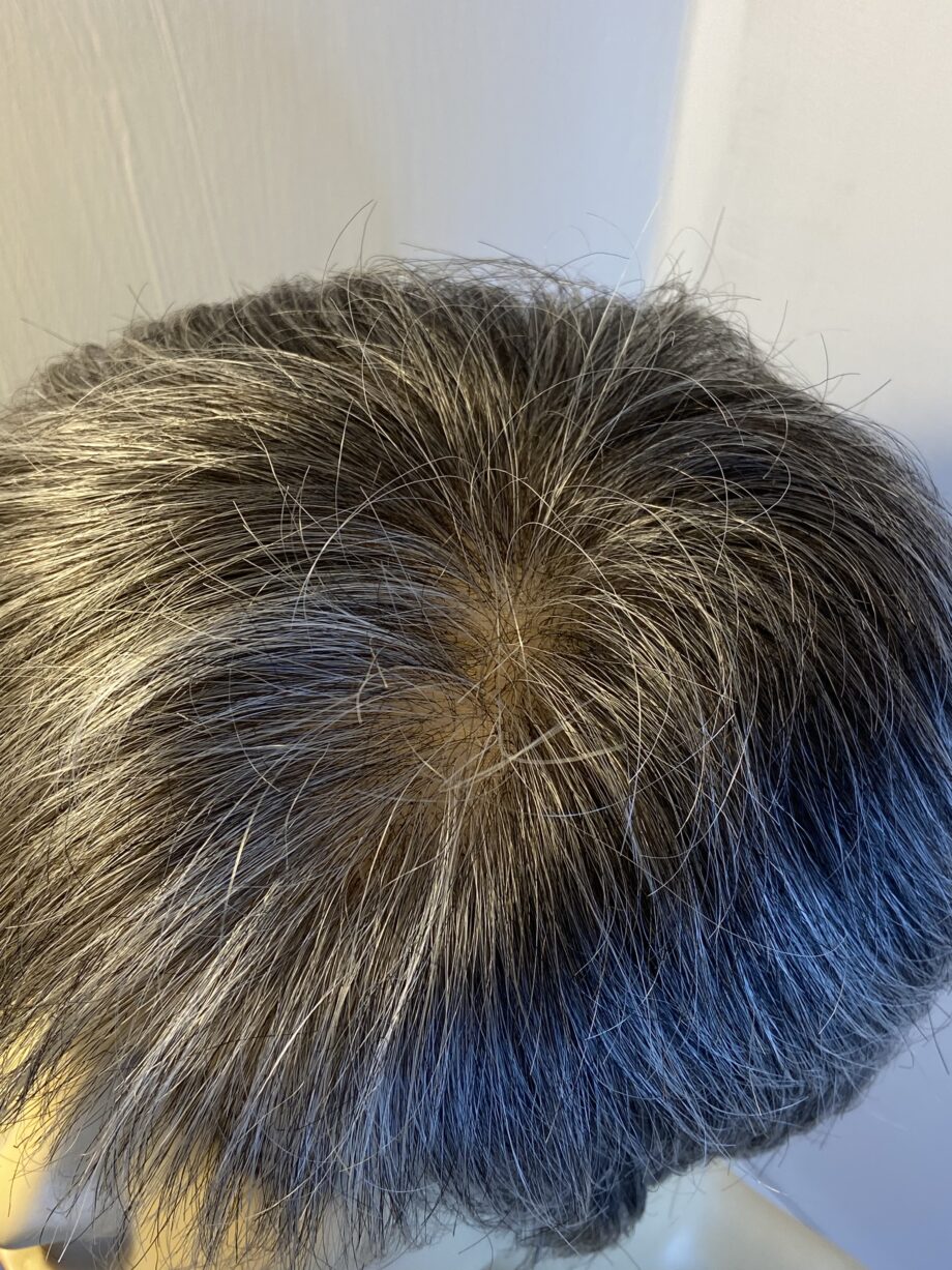 Salt and pepper short designer wig g. Bgss321