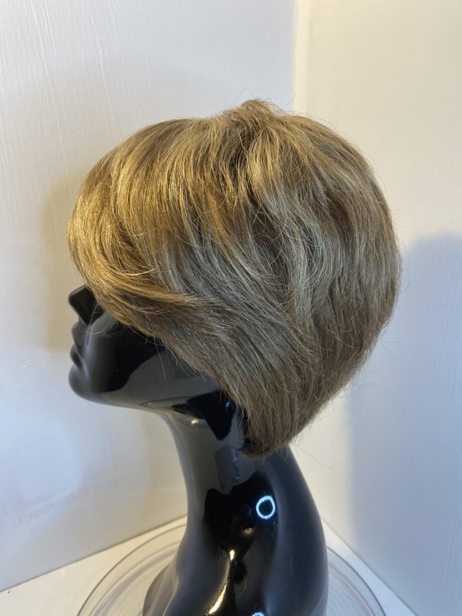Soft cap blonde highlighted wig. Blss49