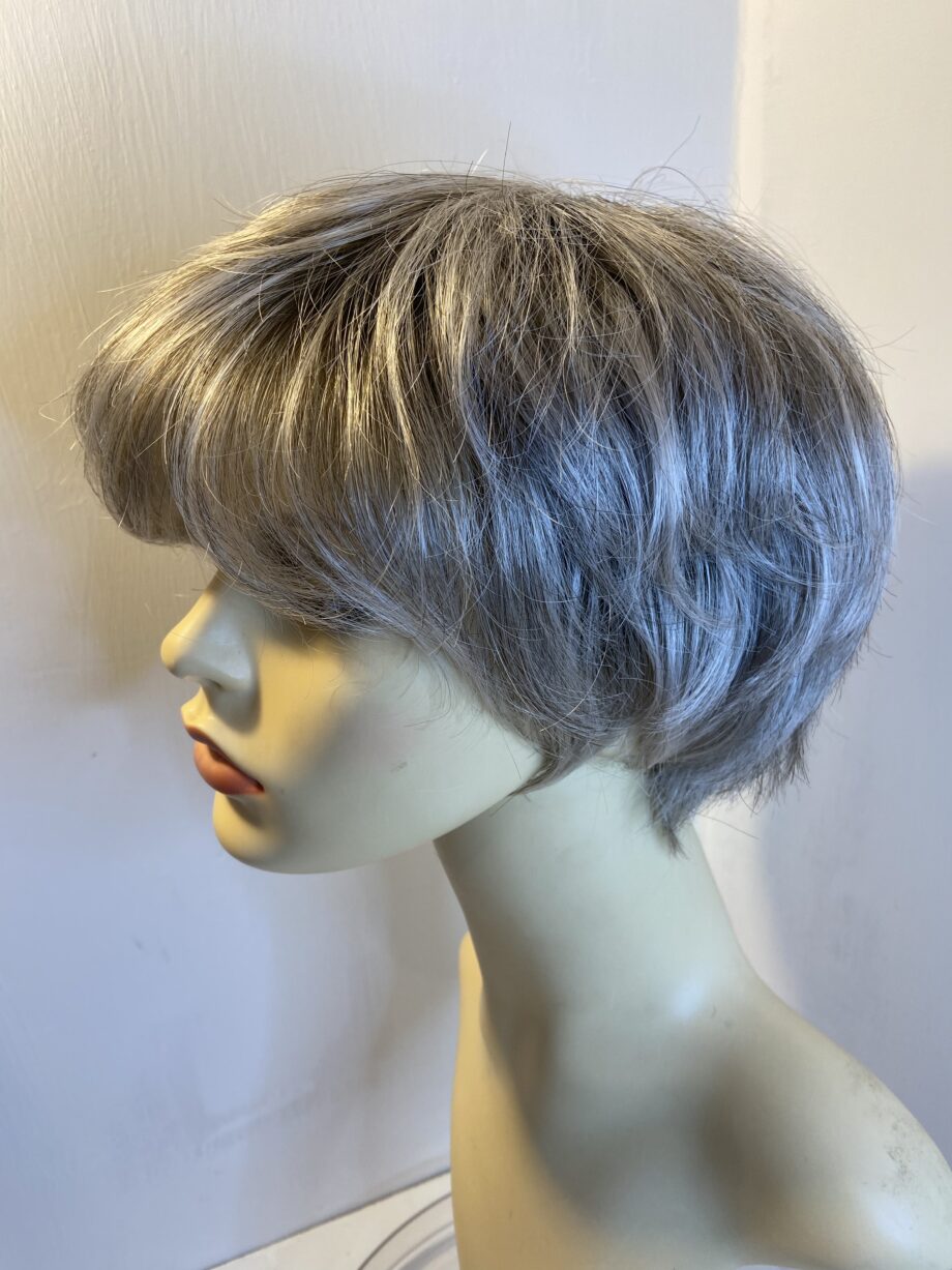 Rooted silver grey. Ellen Wille wig. Gms412