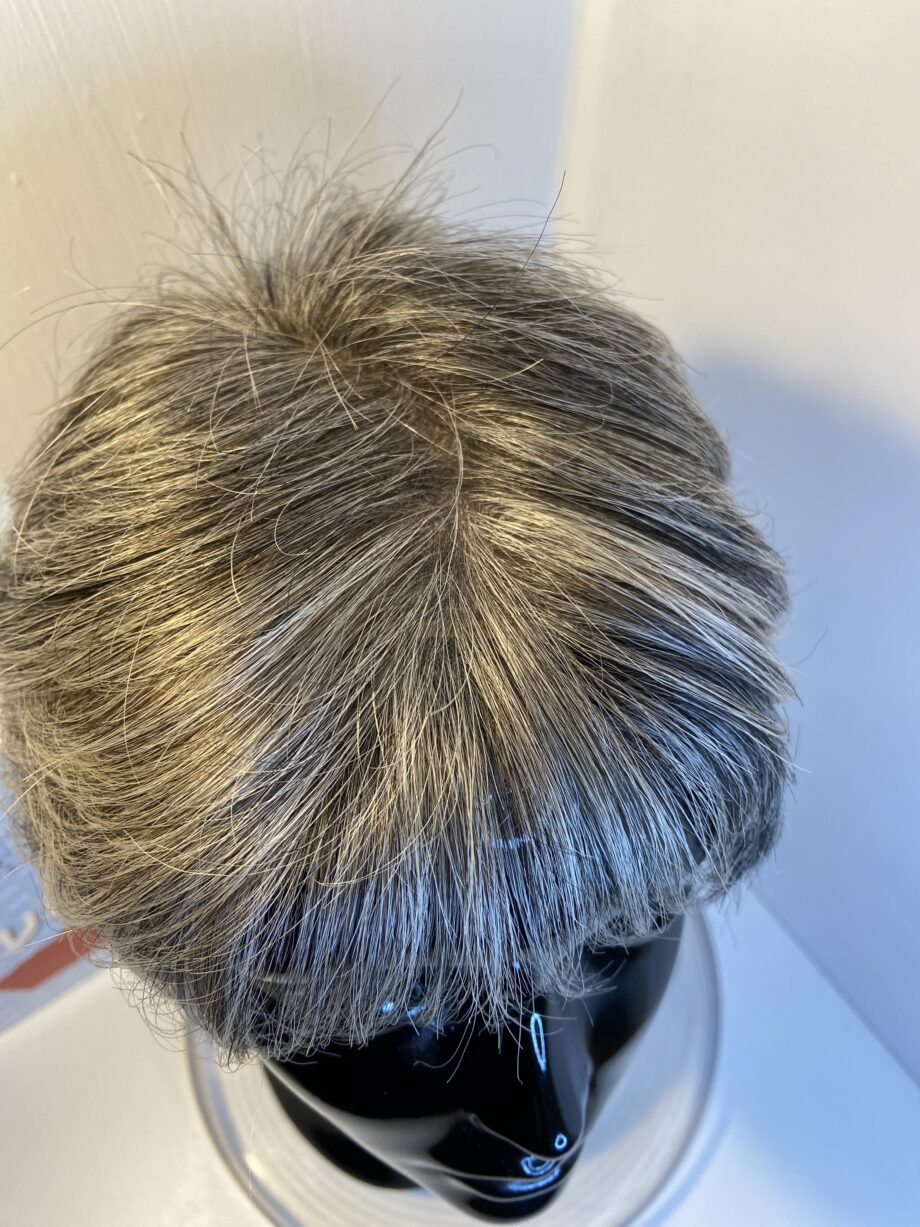 Gisela Mayer salt & pepper short wig. Bgss319